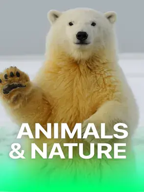 Animals & Nature