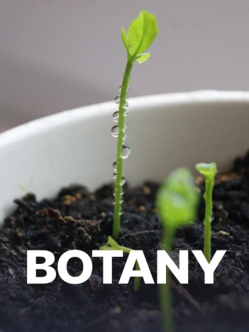 Botany