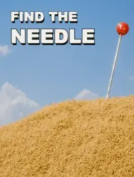 Find The Needle
