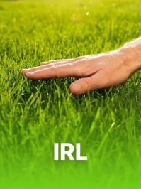 Jalan-jalan & IRL